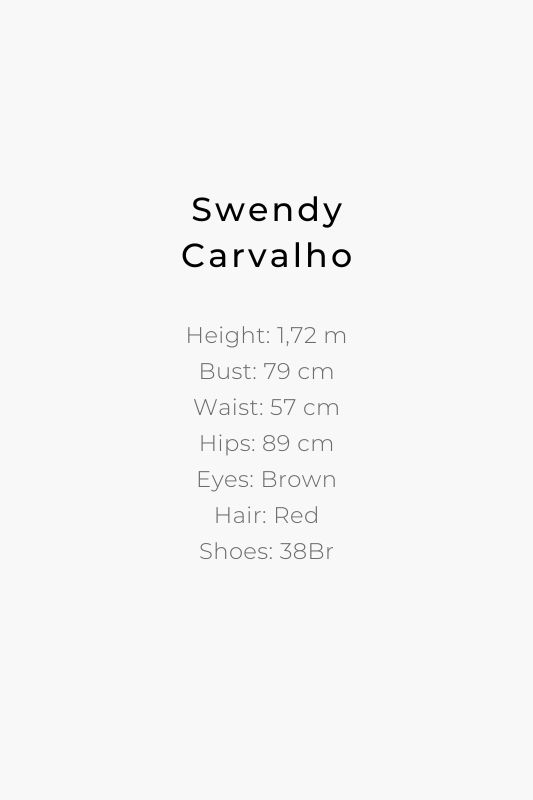 Swendy medidas